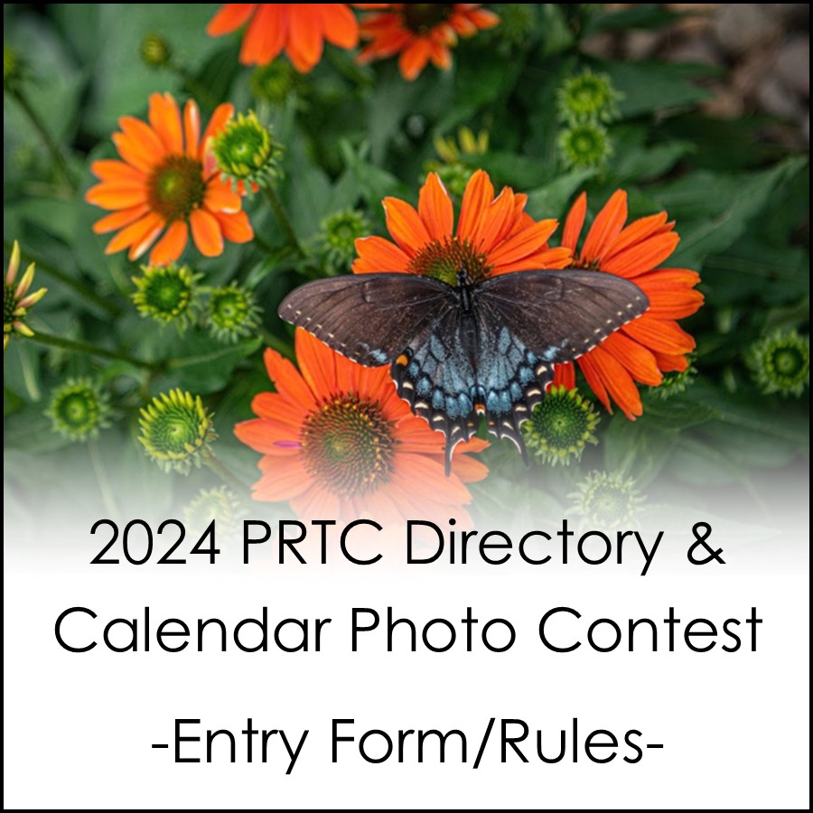 Directory Photo Contest Button Website